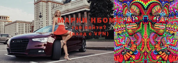 прущие грибы Магас