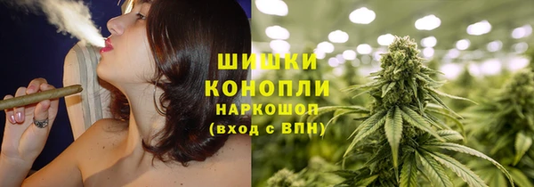 гашик Лабытнанги