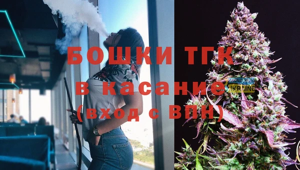 прущие грибы Магас