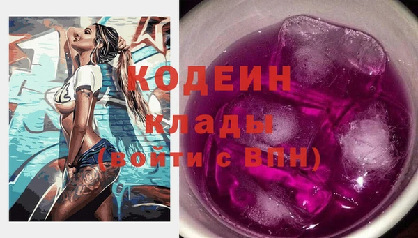 гашик Лабытнанги