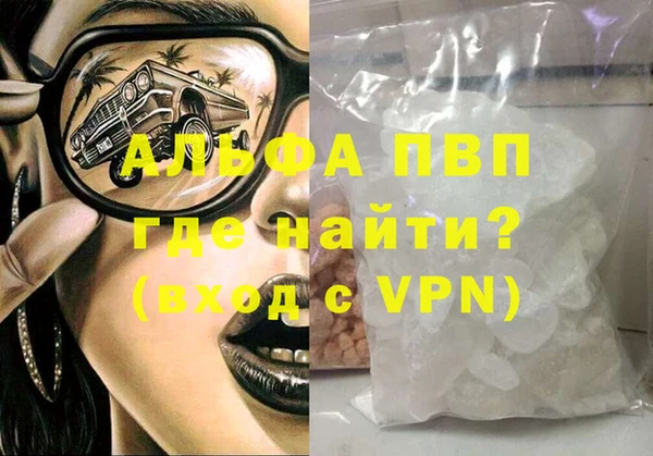 прущие грибы Магас